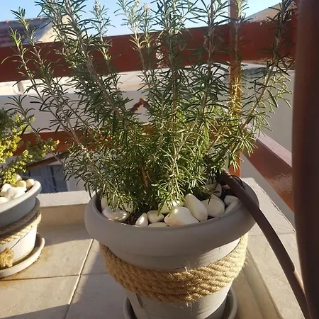 Apartament House